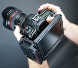 personalized services in real estate, digital marketing, travel, IT support, and business financing, making success accessible across every sector